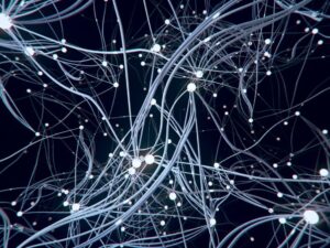 Unlock Your Potential with Business Intelligence Certification